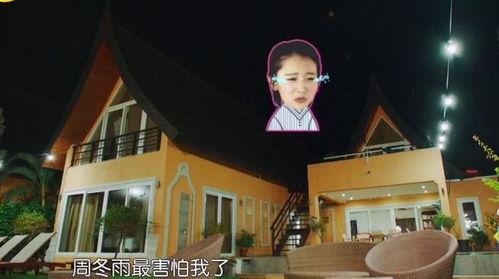 明星大爆料黑历史视频,黑历史视频背后的惊人真相 第1张 明星大爆料黑历史视频,黑历史视频背后的惊人真相 第1张