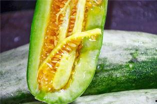 吃瓜某网红,揭秘幕后真相与网络舆论风暴 第2张 吃瓜某网红,揭秘幕后真相与网络舆论风暴 第2张